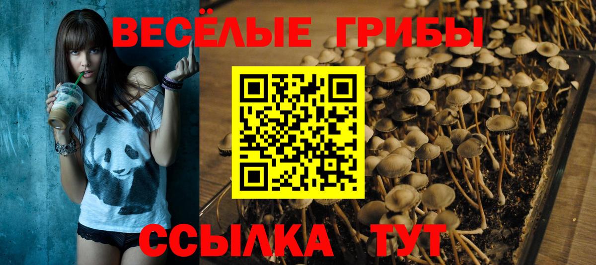Галлюциногенные грибы MAGIC MUSHROOMS Снежинск
